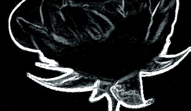 Diary-T 127 白紙＝都会的