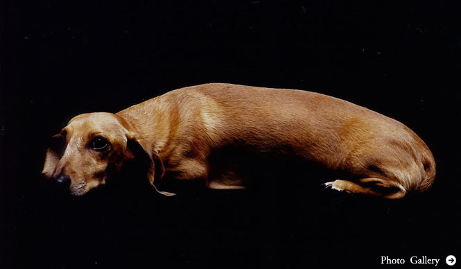 島田 明｜Life is Edit. #027 相棒MAXが教えてくれたこと