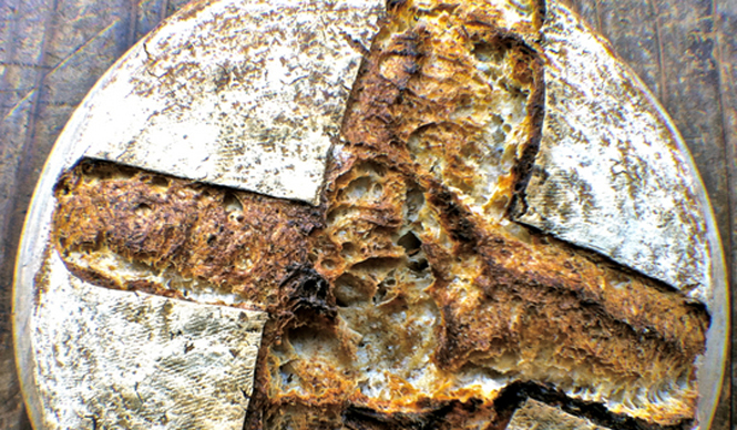 Diary-T 128 カンパーニュ