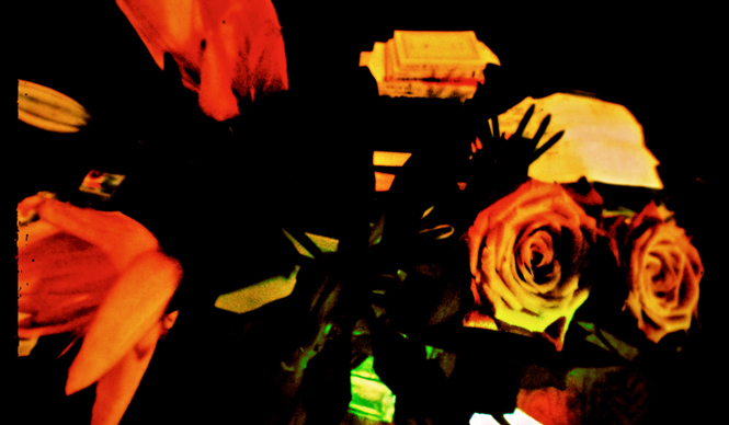 Diary-T 132 一時預かり