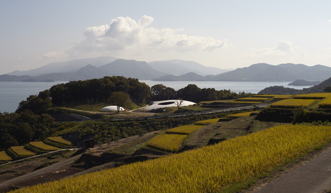 EVENT｜豊島美術館1周年「豊島シンポジウム×棚田の収穫祭」
