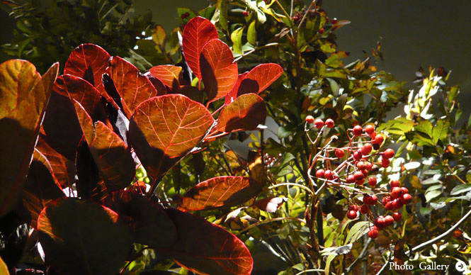 イセタンメンズレジデンス通信2011年10月号｜ISETAN MEN'S｜秋のメンズ館は、イベント満載！