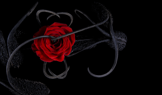 ヘルムート ラングと東信氏のコラボレーション企画第2弾！｜HELMUT LANG