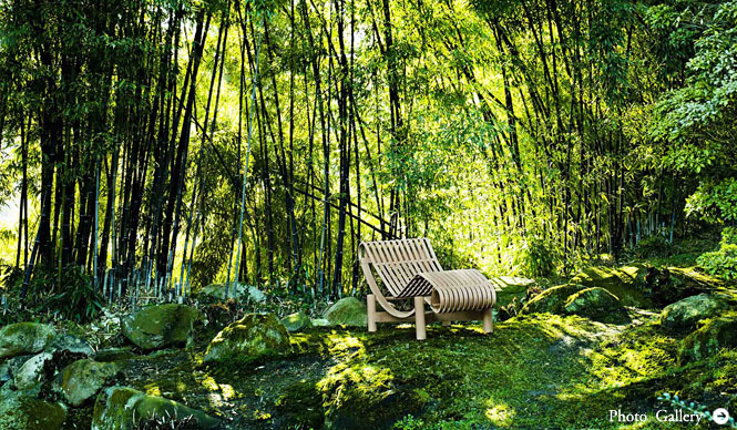 Cassina ixc.|芸術的才能が開花した「シャルロット・ペリアン」新作展示