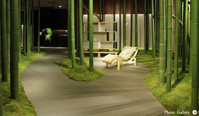 Cassina ixc.|「シャルロット・ペリアン」の美しく斬新な世界