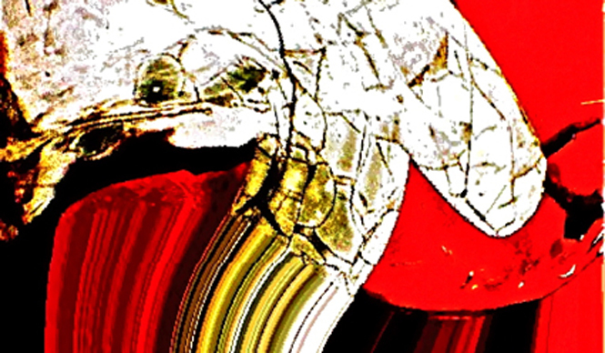 Diary-T 151 日本人ってめちゃかっこいい。