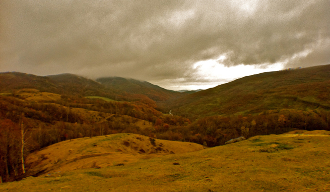 Diary-T Vol.17 155～158｜桑原茂一が毎日デザインするTシャツコレクション！