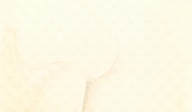 Diary-T 159 　YONEちゃん