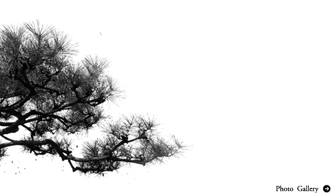 川上俊が京都hotel anteroomで個展を開催