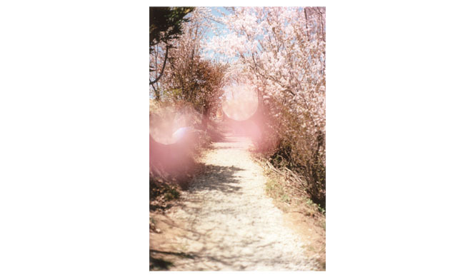 EVENT｜写真家 大森克己 新作プロジェクト「すべては初めて起こる」