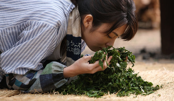 MOVIE|映画『種まく旅人~みのりの茶~』田中麗奈インタビュー