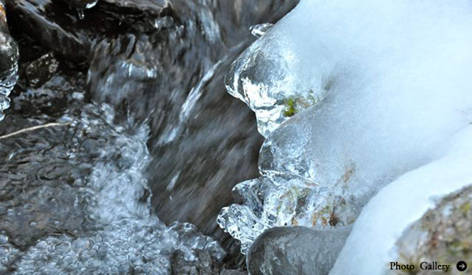 連載・塚田有一│みどりの触知学 第15回 山の冬