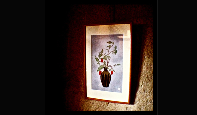 Diary-T 189 花言葉