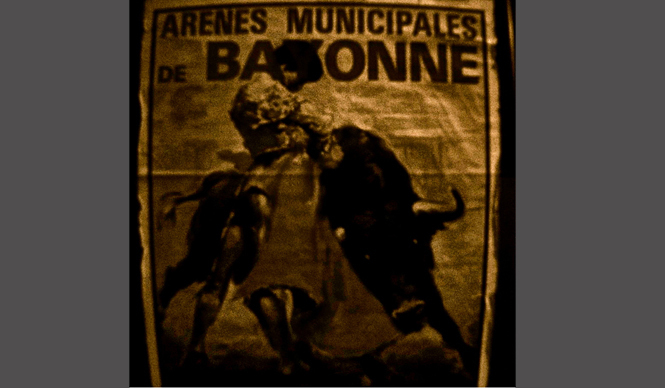 Diary-T 204　ムレータ