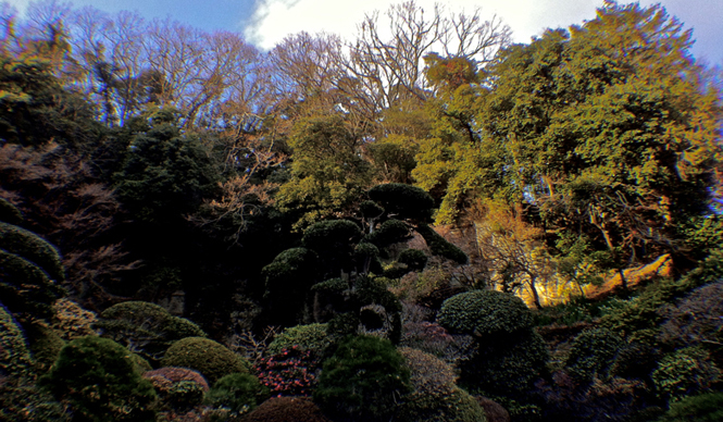 Diary-T Vol.25 201～206｜桑原茂一が毎日デザインするTシャツコレクション！