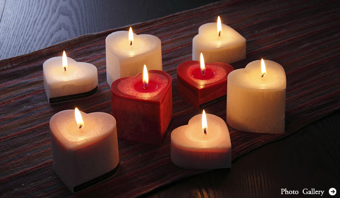 LIVING LIGHT|天然素材から生まれる美しいキャンドル