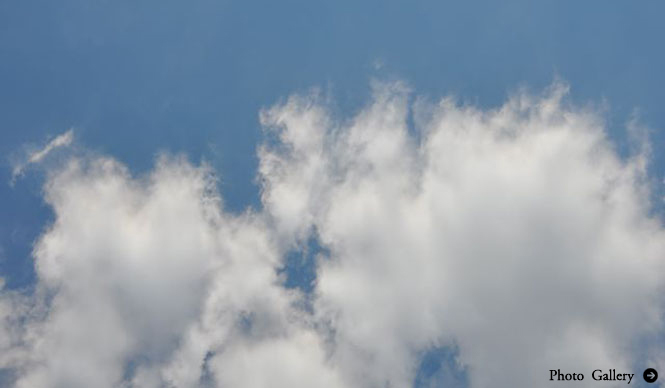連載・塚田有一│みどりの触知学 第16回 「雨水」の日曜日