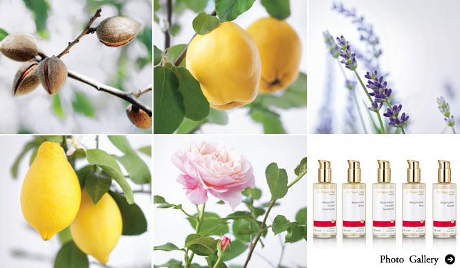 Dr.Hauschka｜香りと使用感にこだわった好みで選べるボディミルク