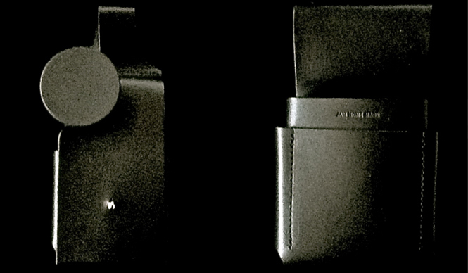 Diary-T 227 　芽吹く