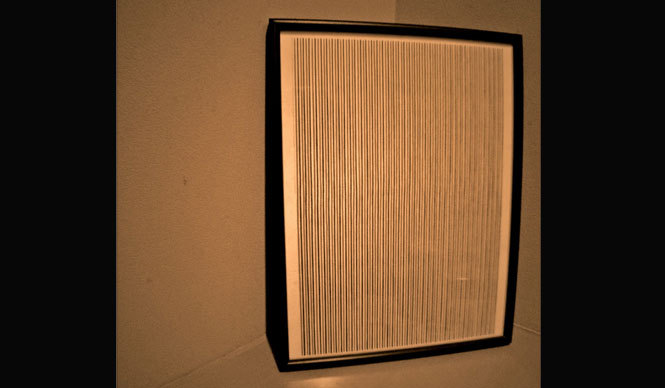 Diary-T 233 けっこう毛だらけ