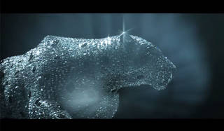 カルティエのメゾン設立165周年を記念したフィルム『L'Odysée de Cartier』｜Cartier