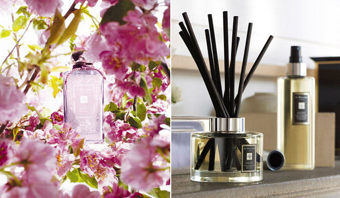 JO MALONE LONDON｜春の新作フレグランス「プラム ブロッサム」