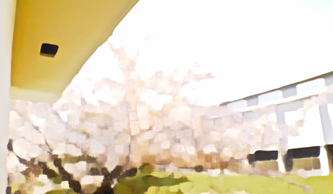 Diary-T 241 「散れ」