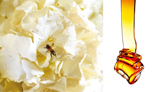 HACCI｜濃密なツヤと香りのシャンプー&コンディショナー