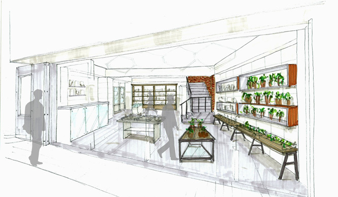 WISM｜ファッションから家具まで個性あふれるセレクト