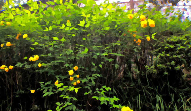 Diary-T 250 　子供の非