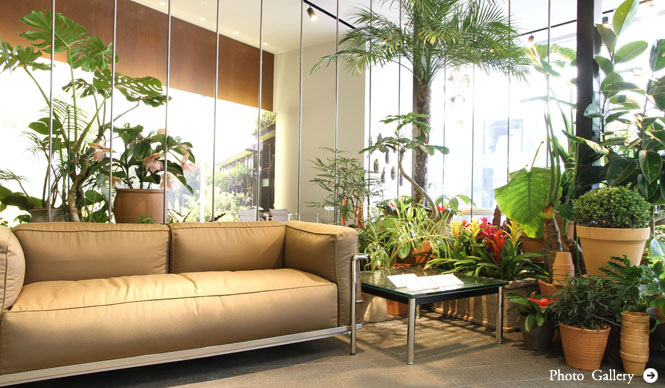 Cassina ixc.|2012年新作展示「URBAN JUNGLE」開催