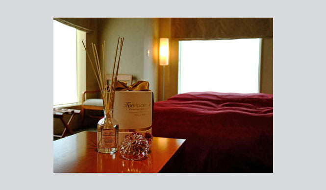 Terracuore|ロイヤルパーク汐留タワーにコンセプトルーム登場