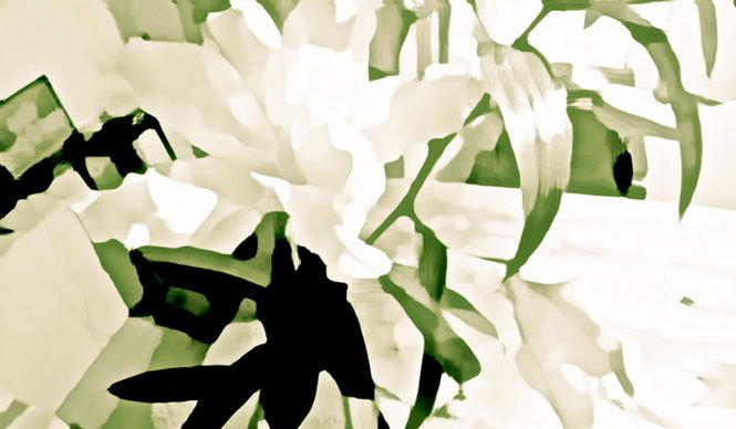 Diary-T 263 Lily 革命の花