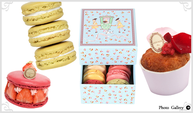 150周年を祝した、記念すべき夏コレクションが登場|LADURÉE
