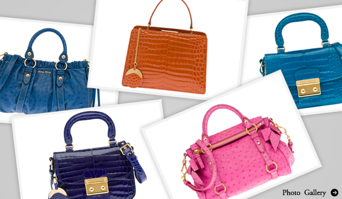 MIU MIU|人気のシリーズに新アイテム! プレシャス・スキンハンドバッグが登場