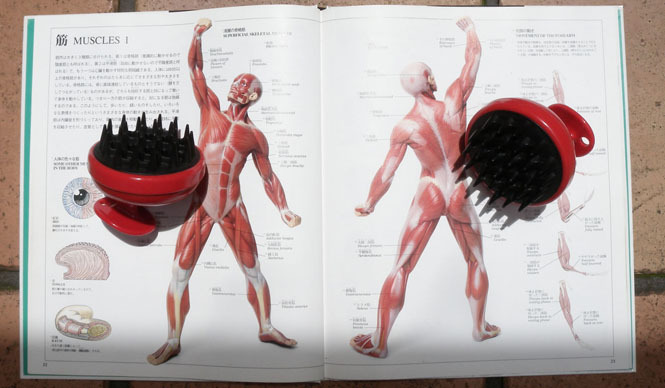 連載・藤原美智子 2012年7月｜美と健康と心に効く、画期的な方法を発見!?