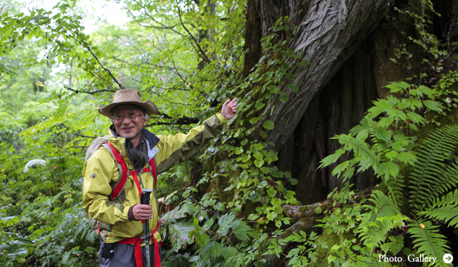 プロフェッショナルと巡る森~岐阜・飛騨地方の自然とアクティビティ~Chapter 2