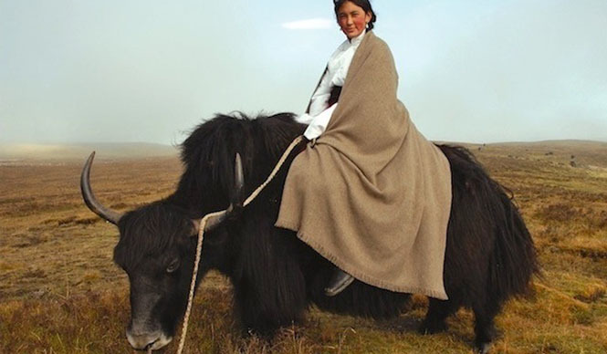 doinel｜北青山ドワネルにて福岡のアンティークショップ「コクトー」イベント開催