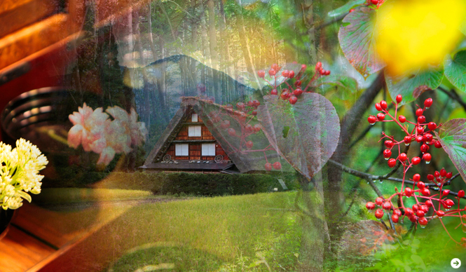 プロフェッショナルと巡る森~岐阜・飛騨地方の自然とアクティビティ~|特集