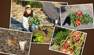 連載・藤原美智子 2012年11月｜“ローフード”が野菜づくりへと広がった！