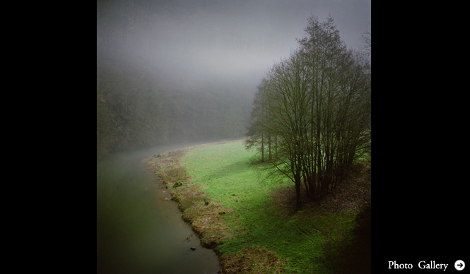 ART｜あたらしい美術の動向を探る 「アーティスト・ファイル 2013――現代の作家たち」 