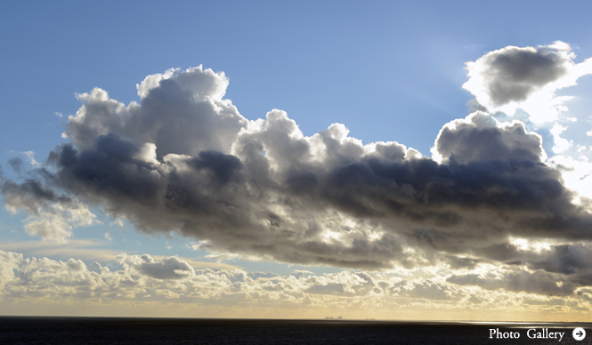 MATSUNAGA Manabu｜vol.10 デレク・ジャーマンの庭 その2