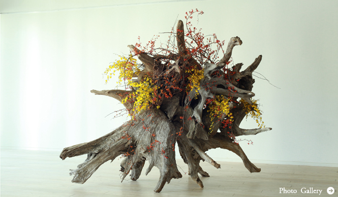 ART|注目の若手華道家ユニット、プランティカ初の大型個展『plantica_Nomadic』