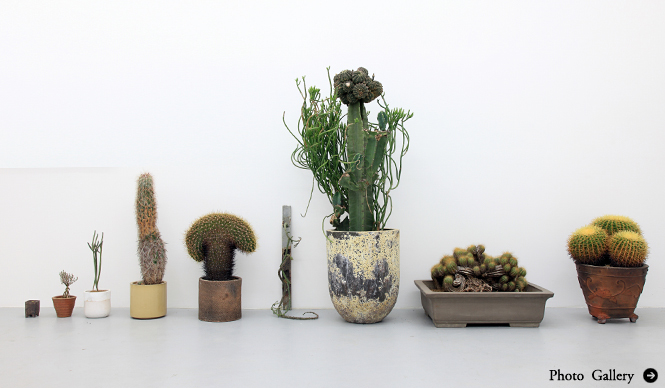 ART|“いい顔してる”植物たち250点を一堂に展示『植物も個性の時代』