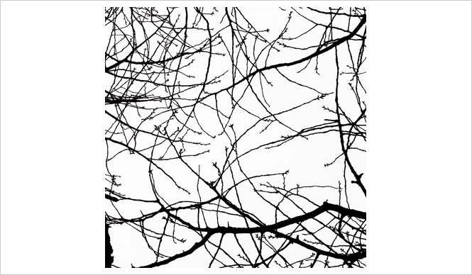 ART｜青山「ギャラリーDAZZLE」にて飯田信雄写真展「夢見草」開催