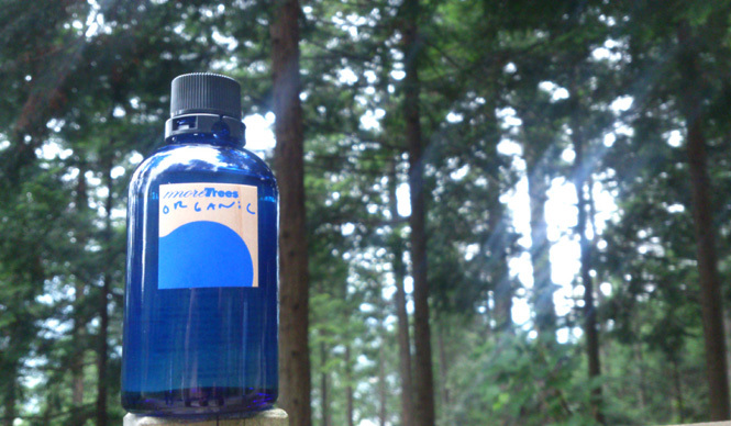 more trees organic｜「森のめぐみ」を活かすあらたなチャレンジ