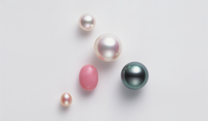 MIKIMOTO|真珠発明120周年を記念して、“真珠の学校”を開催