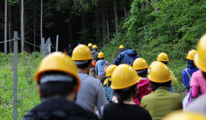 more trees×丸の内朝大学｜「アーバン木こりクラス」を密着取材
