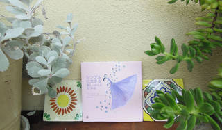 連載・藤原美智子 2013年7月｜ボディブラシでの“ドライ”ブラッシングで肌磨き