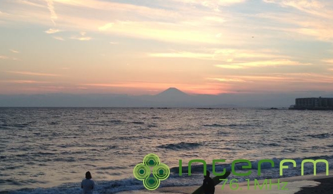 松浦俊夫|夏は来年もまたやってくる。でも今年の夏はもう戻らない。